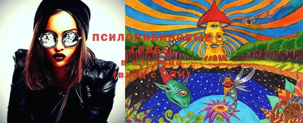 бутират Алексин