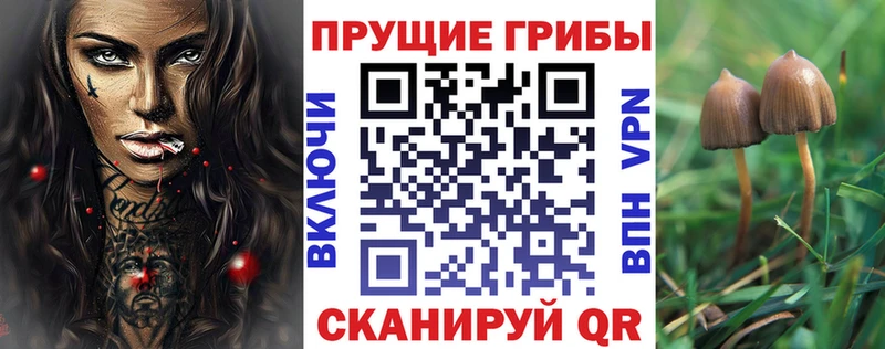 mega   Чегем  площадка телеграм  где купить наркоту  Псилоцибиновые грибы MAGIC MUSHROOMS 