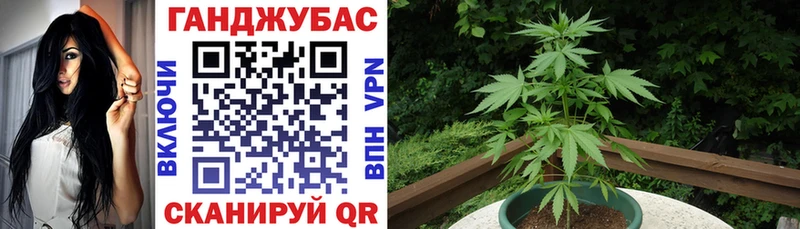 Каннабис ГИДРОПОН  ОМГ ОМГ маркетплейс  Чегем 